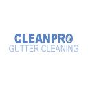 Clean Pro Gutter Cleaning Flint logo